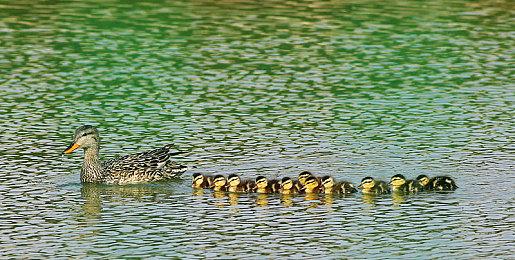 微软暗示Xbox移动游戏商城将于2024年上线